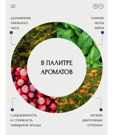 Fragrant Mood Black black -leaf -leaf -leaf gathering gift 120 grams - Buy Online on GoSupps.com