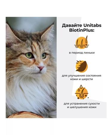 Unitabs Biotinplus with taurine for the skin and hair of cats (pasta 120ml) - Buy Online on GoSupps.com