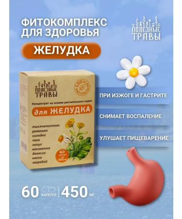 bee and man Ground collection for the stomach