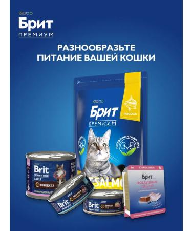 Brit Wet cat feed 85 g x 14 pcs - Buy Online on GoSupps.com