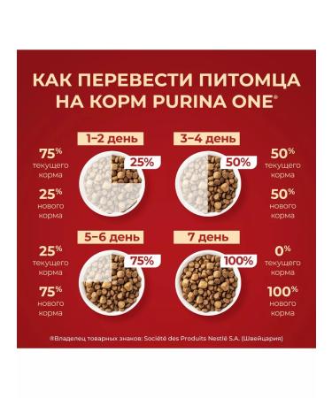 PURINA ONE Dry food for active small dogs chicken and rice - 3 kg - Buy Online on GoSupps.com