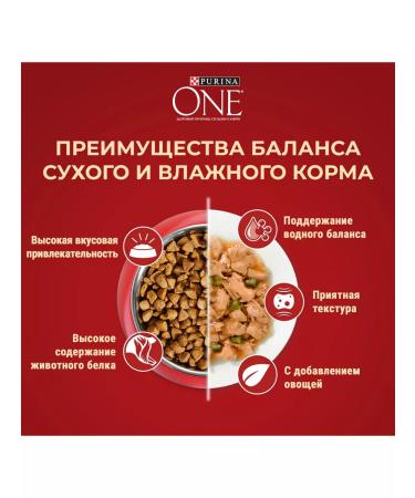PURINA ONE Dry food for active small dogs chicken and rice - 3 kg - Buy Online on GoSupps.com