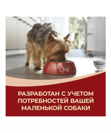 PURINA ONE Dry food for active small dogs chicken and rice - 3 kg - Buy Online on GoSupps.com