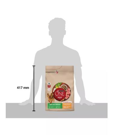 PURINA ONE Dry food for active small dogs chicken and rice - 3 kg - Buy Online on GoSupps.com