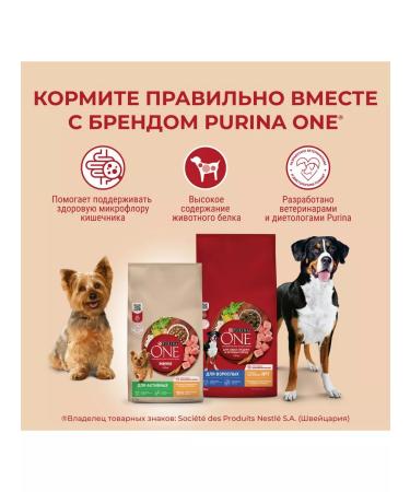 PURINA ONE Dry food for active small dogs chicken and rice - 3 kg - Buy Online on GoSupps.com