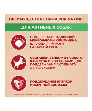 PURINA ONE Dry food for active small dogs chicken and rice - 3 kg - Buy Online on GoSupps.com