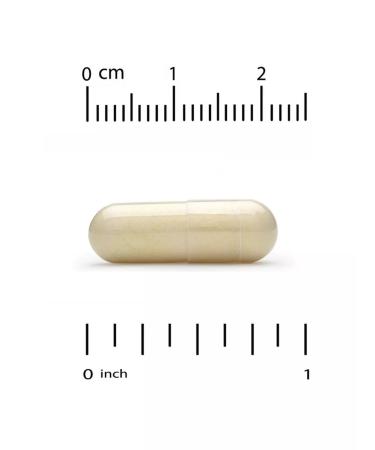 California Gold Nutrition Roar milk sublimated concentrate 500 mg - Buy Online on GoSupps.com