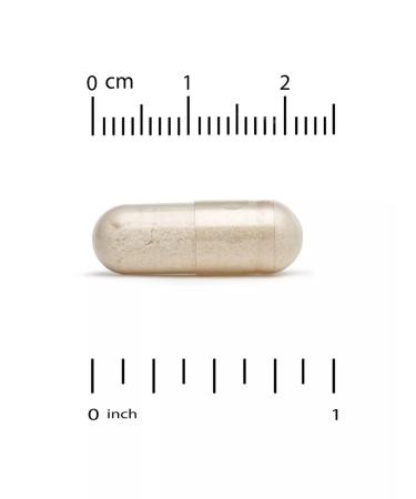 California Gold Nutrition Mushroom complex + ergotionein 90 plant capsules - Buy Online on GoSupps.com