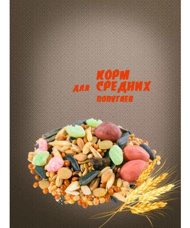 A cheerful parrot Medium -sized food (2 pcs) - Buy Online on GoSupps.com