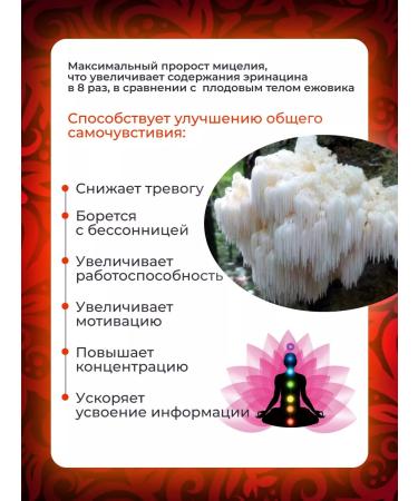 Hedgehog Ezhovik creped 1 kg - Buy Online on GoSupps.com
