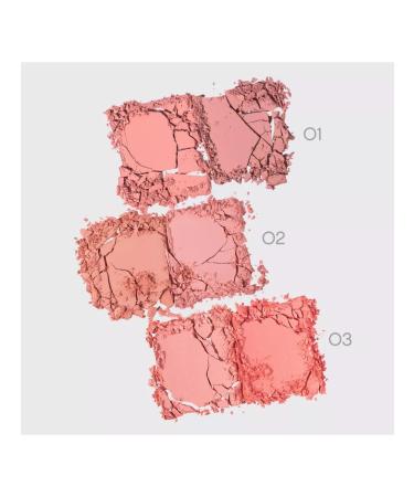VIVIENNE SABO Palette blush Naturel tone 01 pale pink - Buy Online on GoSupps.com