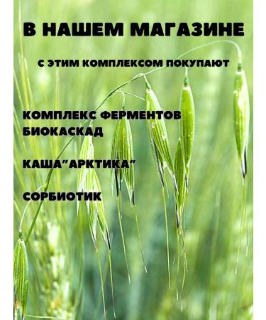 Art Life Gastric oatmeal jackpot in a decoction of plantain - Buy Online on GoSupps.com