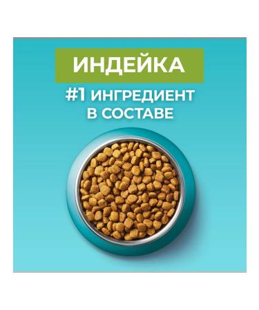 PURINA ONE Dry food for domestic cats with turkey 3kg - Buy Online on GoSupps.com