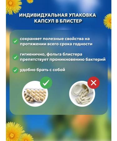 Add Altai Dandelion root natural extract - Buy Online on GoSupps.com