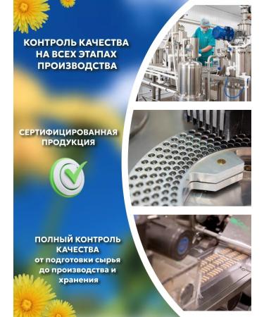 Add Altai Dandelion root natural extract - Buy Online on GoSupps.com