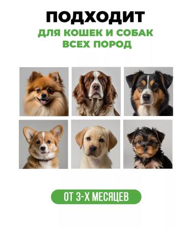 Spets Hypoallergenic dog shampoo with panthenol 500 ml - Buy Online on GoSupps.com