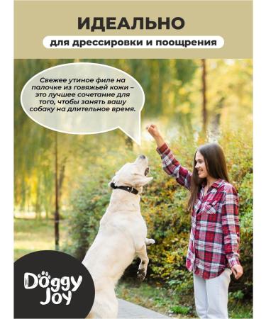 Doggy Joy Duck fillet on a chewing stick 90g - Buy Online on GoSupps.com