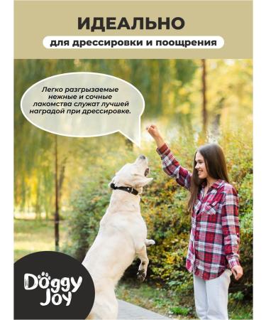 Doggy Joy Jagnage sausages 45g - Buy Online on GoSupps.com