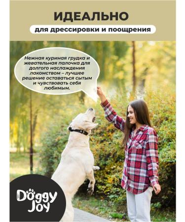 Doggy Joy Chicken strips on sticks 90g - Buy Online on GoSupps.com