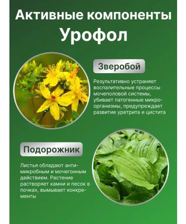 Urofol Rid for the genitourinary system from incontinence - Buy Online on GoSupps.com