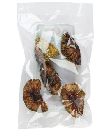 Herbs of the Crimean Mountains Maklura for the joints Crimean dried 100 g - Buy Online on GoSupps.com