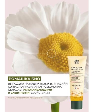 Yves Rocher Face cream soothing with chamomile concentrate - Buy Online on GoSupps.com