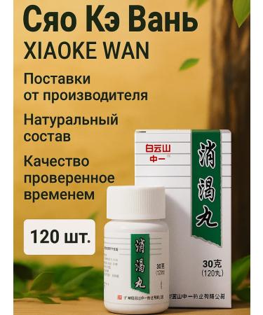 DL Company Xiao Ke Van with diabetes