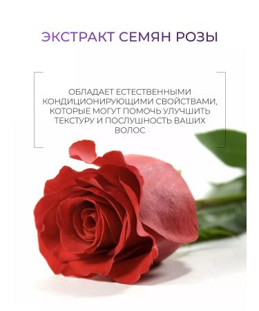 Ollin Professional Hair set Ollin Service Line Stabilizer - Buy Online on GoSupps.com