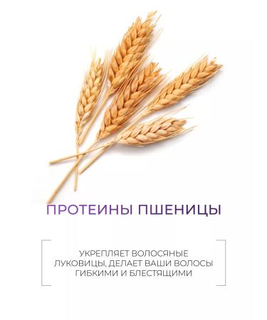 Ollin Professional Hair set Ollin Service Line Stabilizer - Buy Online on GoSupps.com