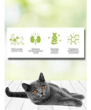 Brit Dry food for cats Indoor Stool turkey and salmon 1.5 kg - Buy Online on GoSupps.com