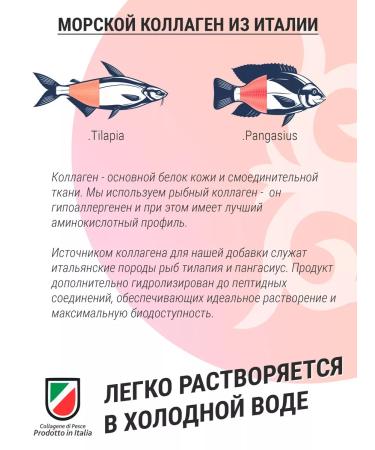 Qazprotein Sea collagen with hyaluronic acid - Buy Online on GoSupps.com