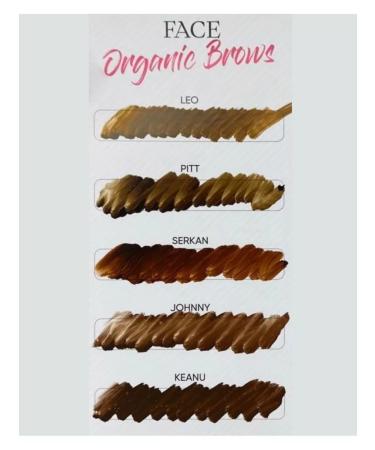 Face Company Face pigment for permanent makeup Pitt 6 ml - Buy Online on GoSupps.com