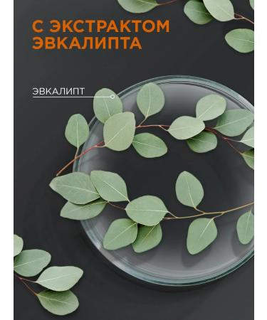 Schauma Hair shampoo male sports energy 2-in-1 360 ml - Buy Online on GoSupps.com