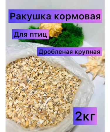 SonoBello The shell is fodder