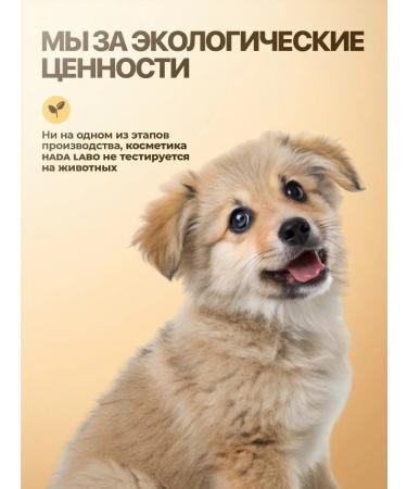 HADA LABO Face cream around the eyes from wrinkles anti -aging eyelids - Buy Online on GoSupps.com