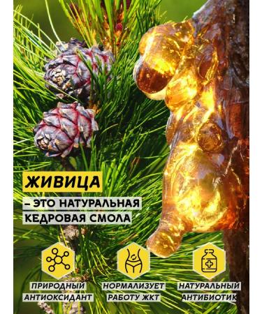 Honey of the Mamdeev family Honey with cedar gum useful sweets pp healthy lifestyle - Buy Online on GoSupps.com