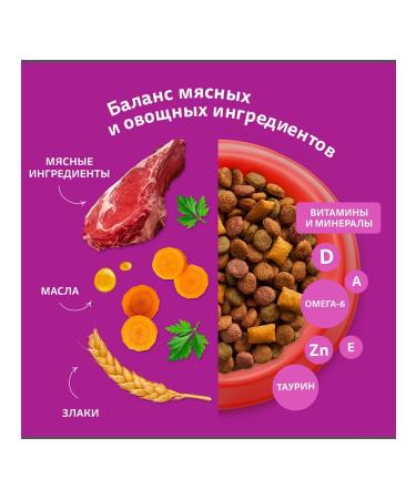 WHISKAS Dry food for cats with beef 5kg - Buy Online on GoSupps.com