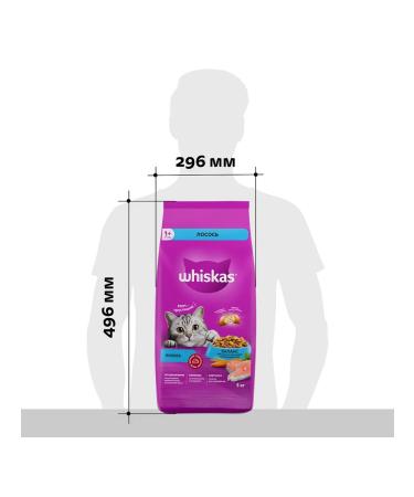WHISKAS Surgery for cats with salmon 5kg - Buy Online on GoSupps.com