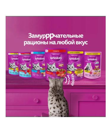 WHISKAS Dry food for sterilized cats with a paste chicken 5 kg - Buy Online on GoSupps.com