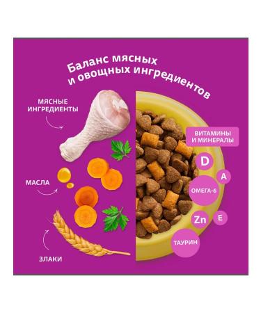 WHISKAS Dry food for sterilized cats with a paste chicken 5 kg - Buy Online on GoSupps.com