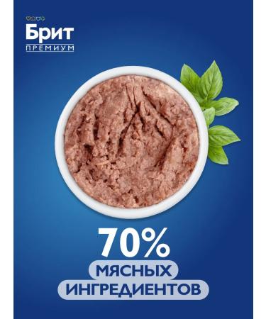 Brit Cat food is wet 100 g x 12 pcs - Buy Online on GoSupps.com
