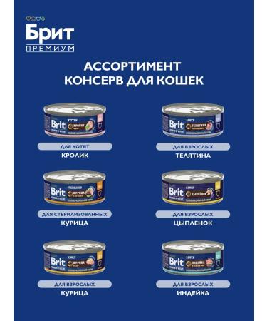Brit Cat food is wet 100 g x 12 pcs - Buy Online on GoSupps.com