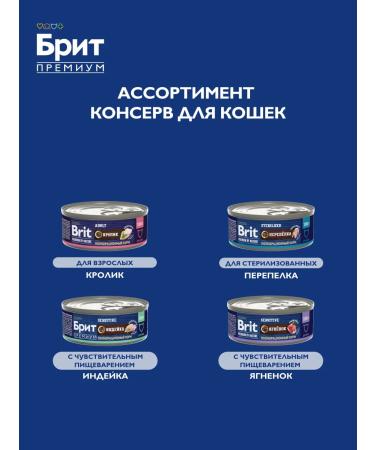 Brit Cat food is wet 100 g x 12 pcs - Buy Online on GoSupps.com