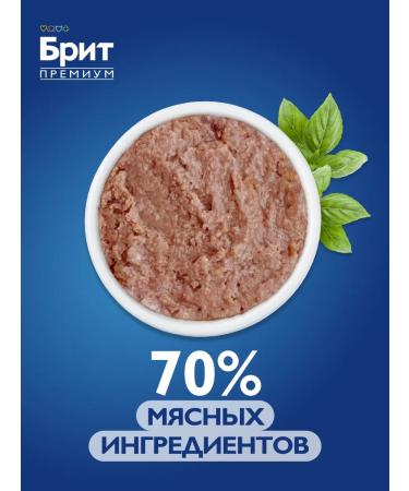 Brit Cat food is wet 100g x 12 pcs - Buy Online on GoSupps.com