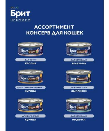 Brit Cat food is wet 100g x 12 pcs - Buy Online on GoSupps.com