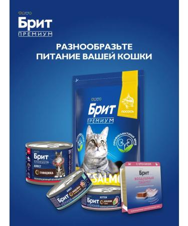 Brit Cat food is wet 100g x 12 pcs - Buy Online on GoSupps.com