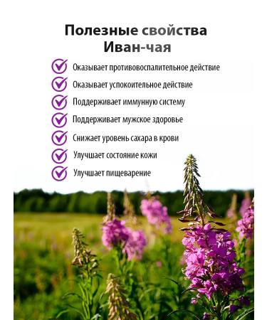 Meditea Phytochai Ivan Tea Envisory Leaf 40 g - Buy Online on GoSupps.com