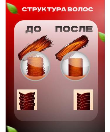 BIAR Hair thermal shock electric - Buy Online on GoSupps.com