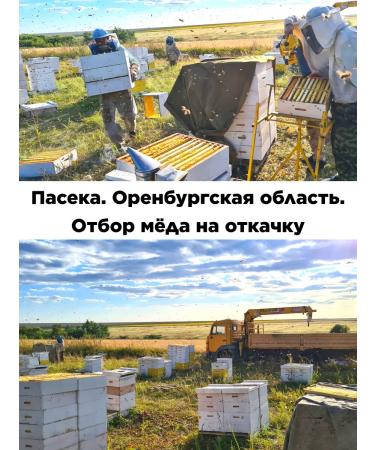 Our honey Natural sunflower honey 3 kg - Buy Online on GoSupps.com