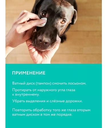 VEDA Eye lotion green tea for cats and dogs - Buy Online on GoSupps.com